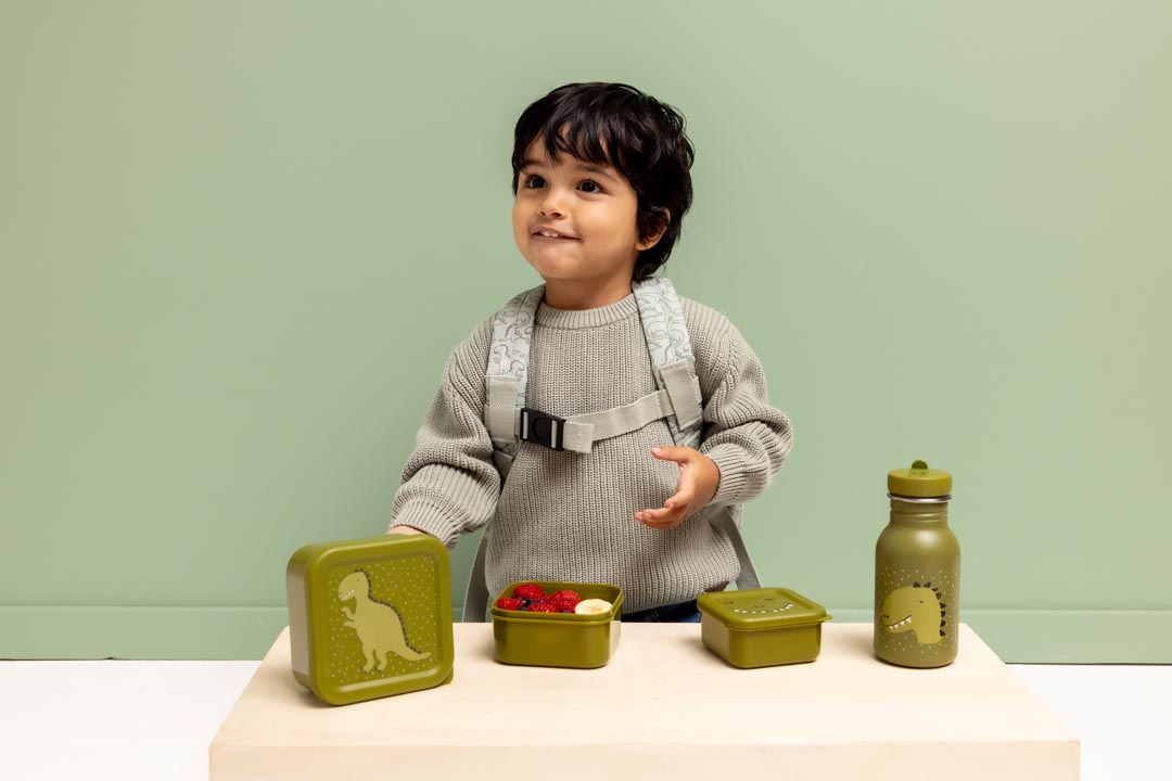 Snackbox - 3er-Set - Mr. Dino